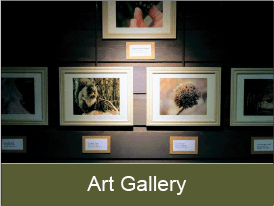 learn more about Discovery Center's art gallery