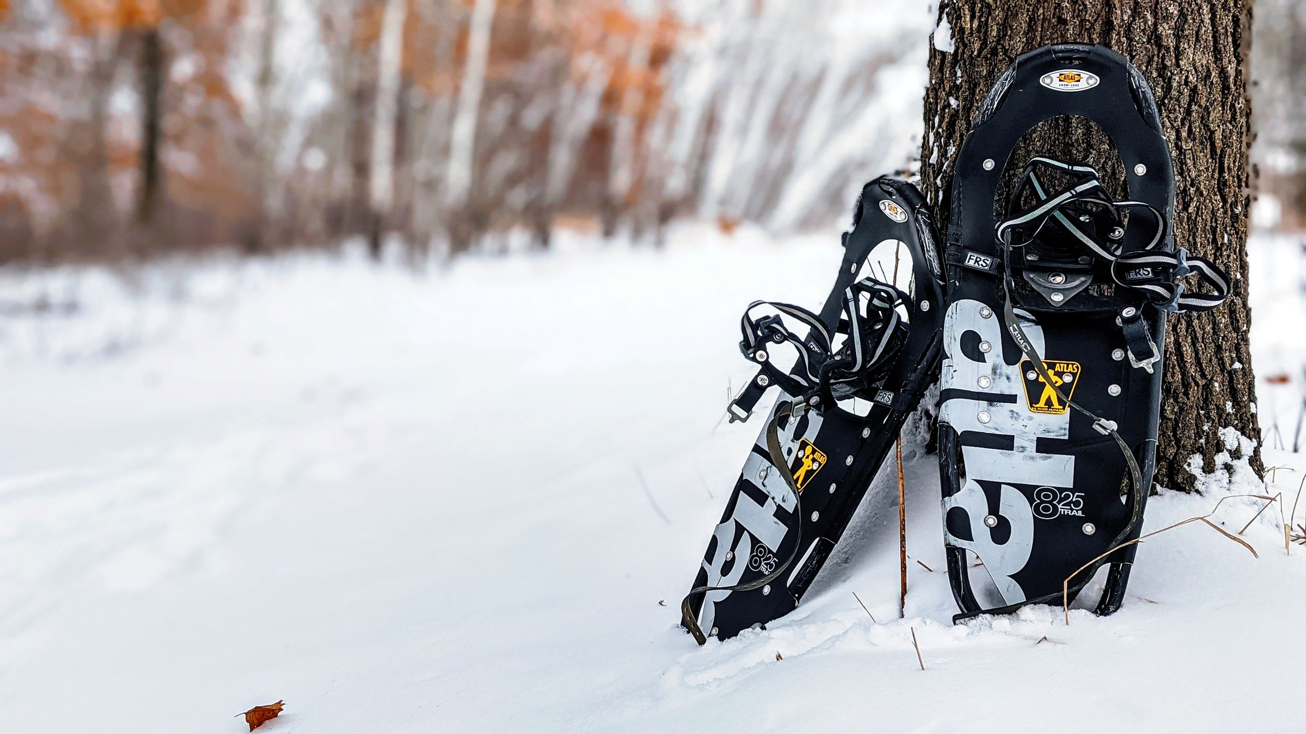 Snowshoes in Snow