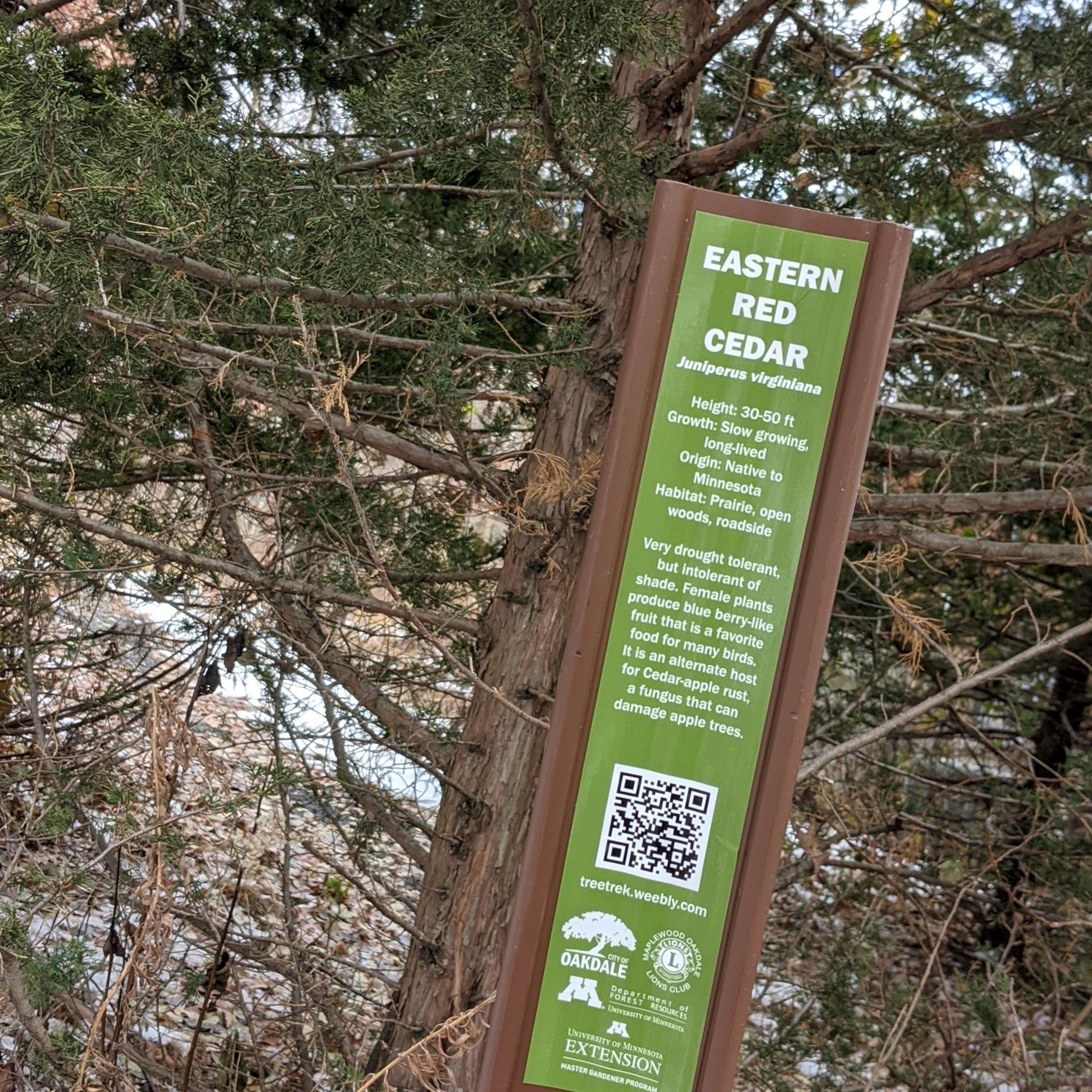 Tree Trek Sign