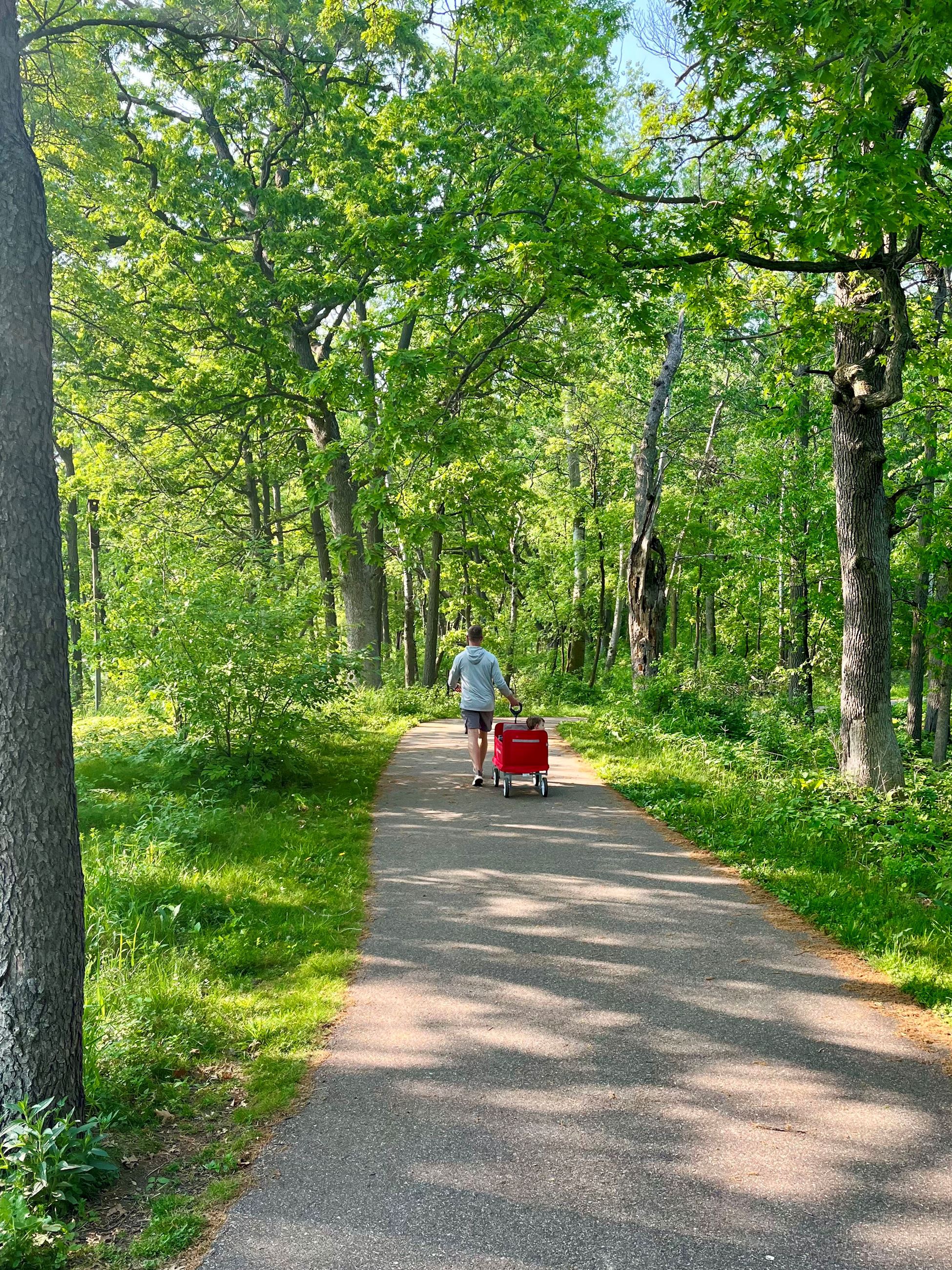 Man walks on path pulling child in red wagon through trees 